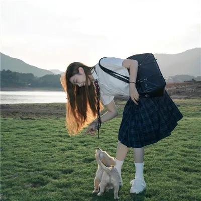 如我们所见